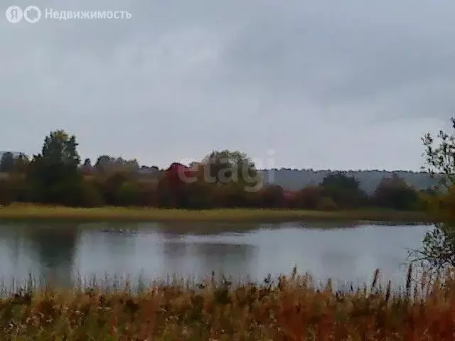 Участок в Вологодская область, Кирилловский муниципальный округ, ... - Фото 1