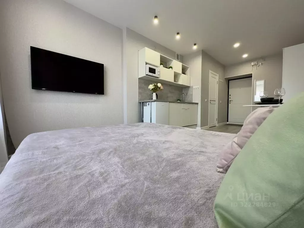 1-к кв. Башкортостан, Уфа ул. Рудольфа Нуреева, 7 (25.0 м) - Фото 2