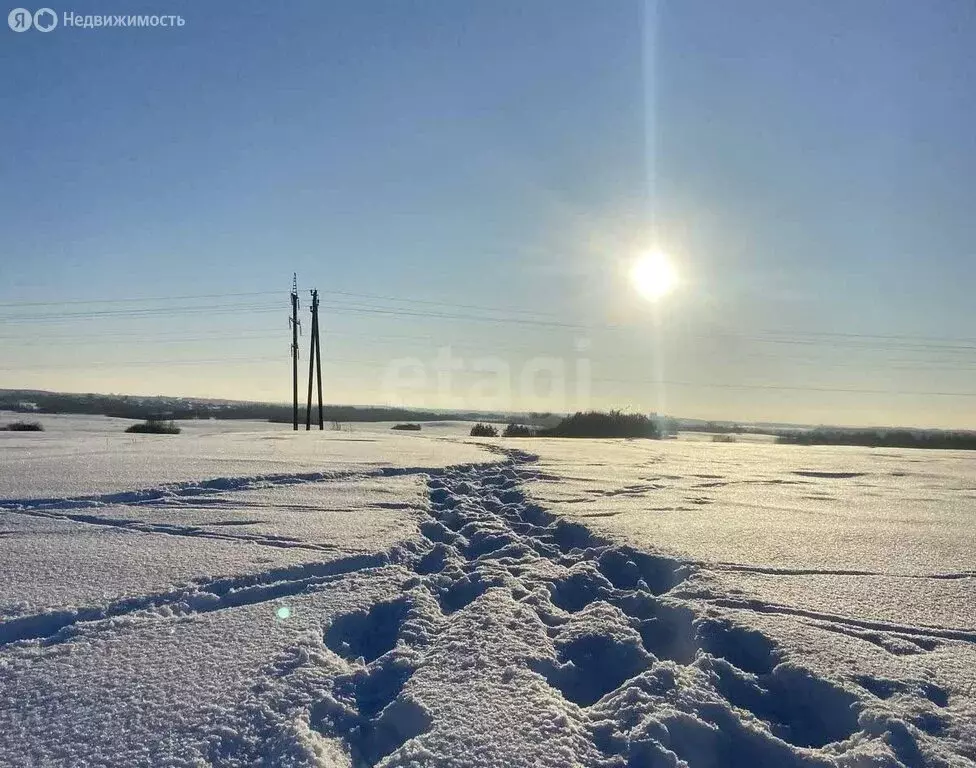 Участок в село Зелёное, Пригородная улица (15 м) - Фото 2