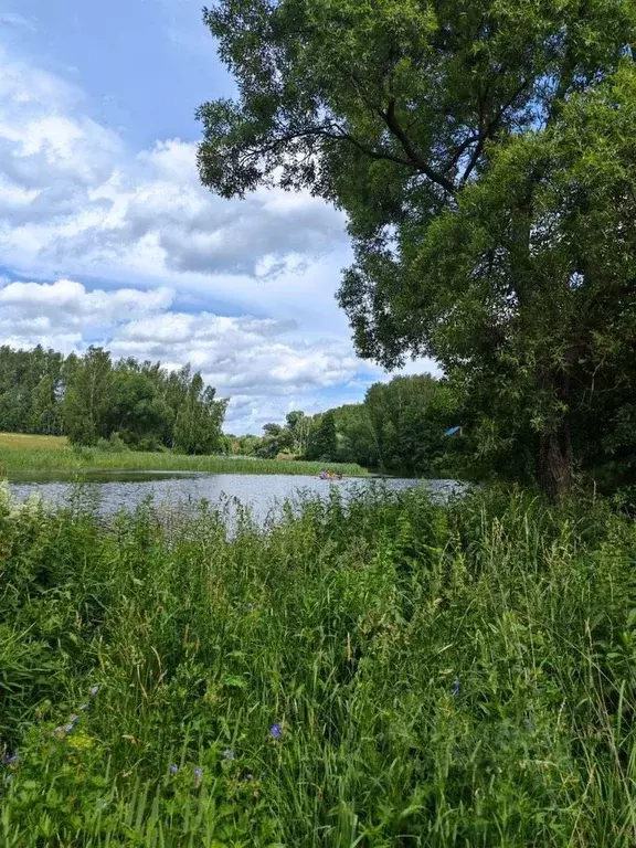 Участок в Московская область, Раменский муниципальный округ, ... - Фото 2