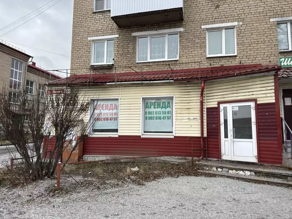 Торговая площадь в Челябинская область, Верхний Уфалей ул. Ленина, 184 ... - Фото 2