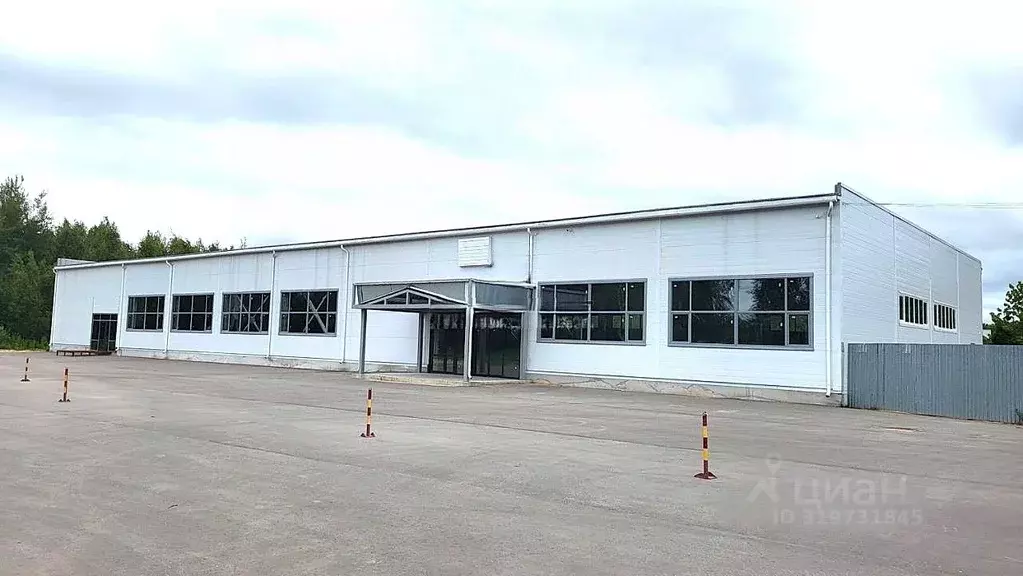Торговая площадь в Нижегородская область, Богородск ул. Чернышевского, ... - Фото 0