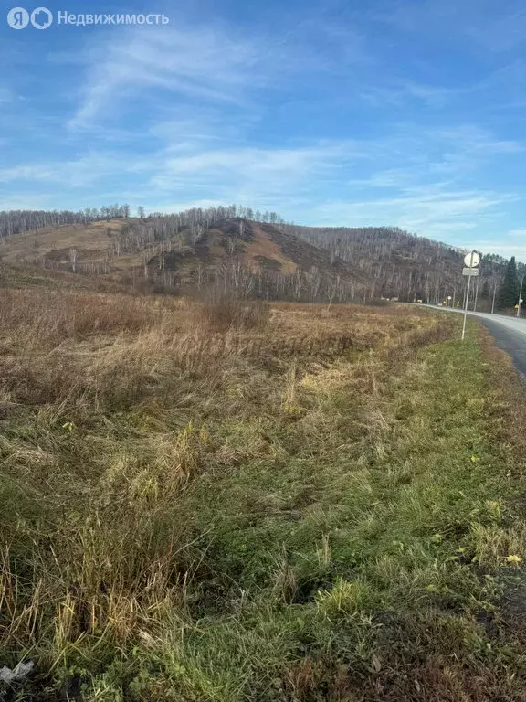 Участок в Чойский район, село Сугул (20 м) - Фото 1