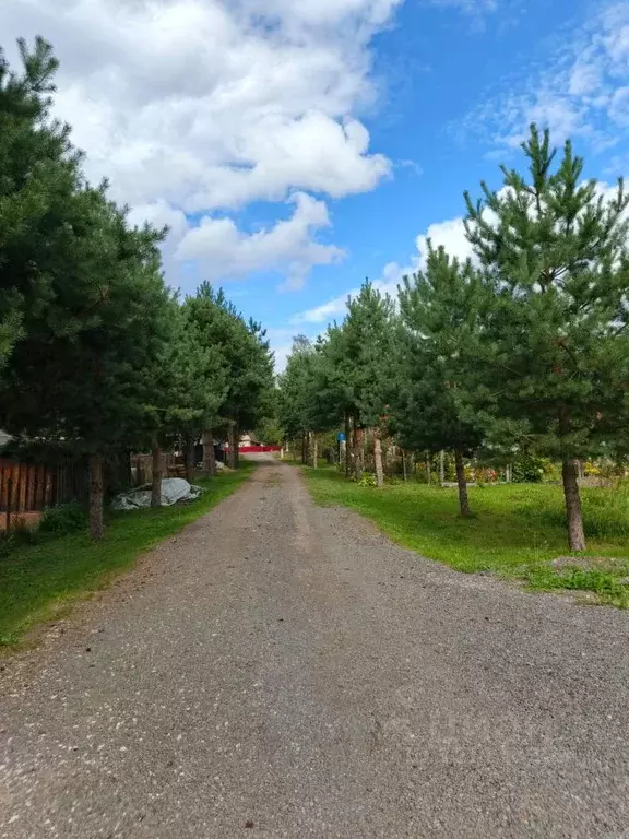 Участок в Московская область, Воскресенск городской округ, д. ... - Фото 0