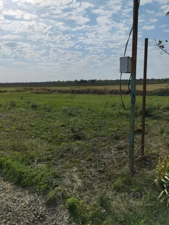 Участок в Ростовская область, Азовский район, с. Кулешовка  (5.28 ... - Фото 2