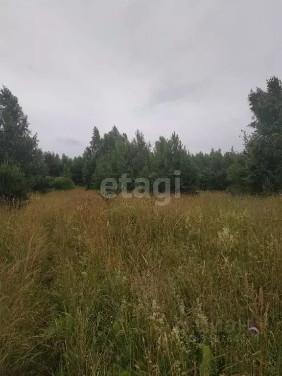 Участок в Псковская область, Печорский муниципальный округ, д. ... - Фото 0