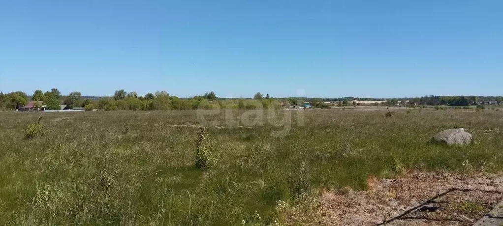 Участок в Калининградская область, Зеленоградск  (8.3 сот.) - Фото 1