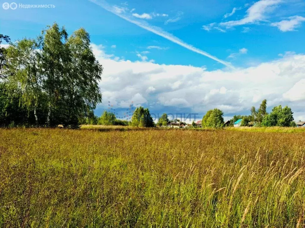 Участок в Оршанский район, Марковское сельское поселение, деревня ... - Фото 1