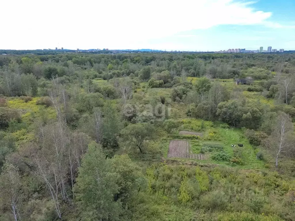 Участок в Хабаровский край, Хабаровск Лесное-1 садовое товарищество,  ... - Фото 1