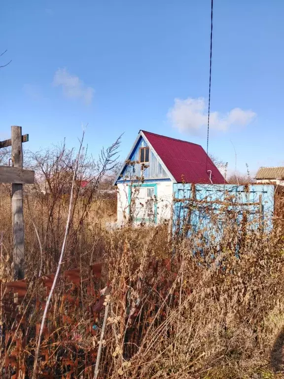 Участок в Ульяновская область, Ульяновск Белый Ключ-2 СНТ, 704 (4.0 ... - Фото 2