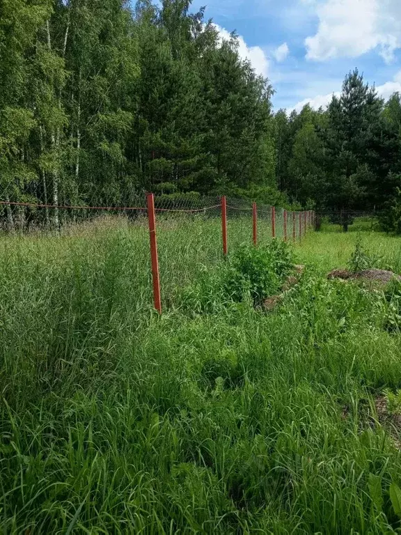 Участок в Московская область, Шатура муниципальный округ, пос. ... - Фото 1