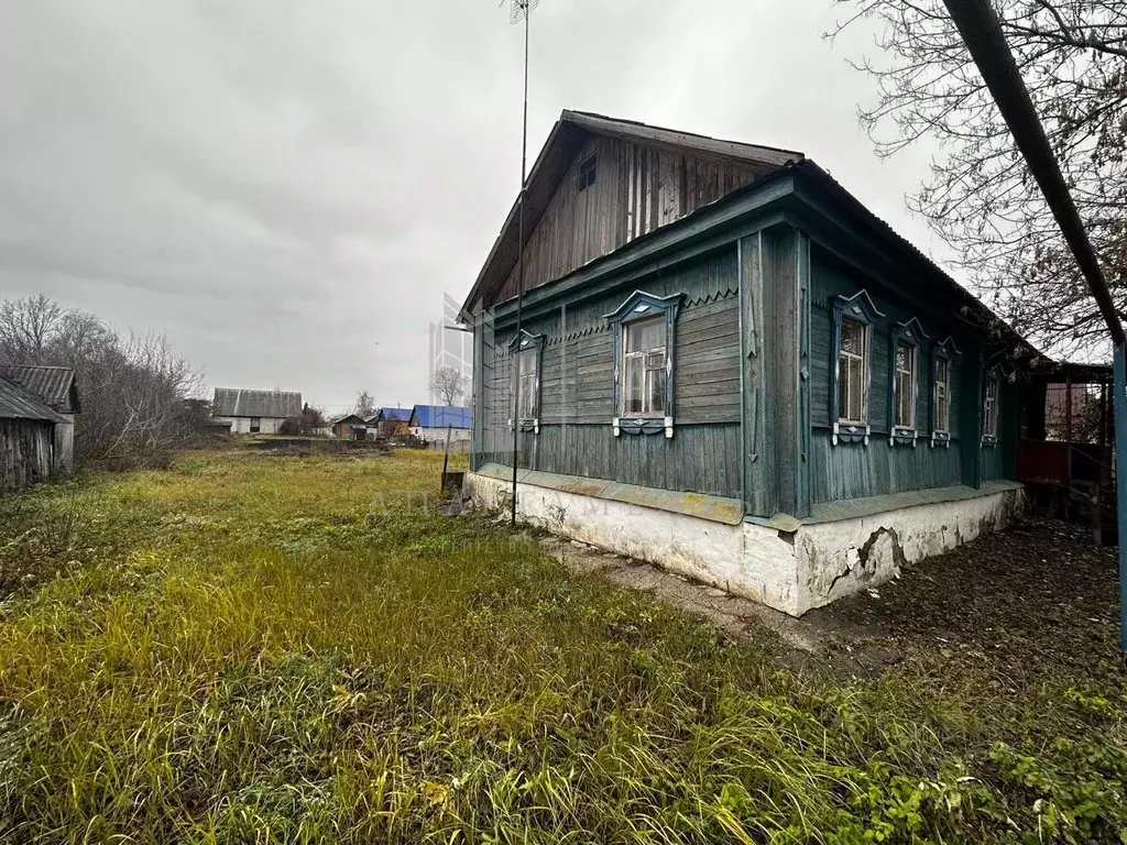 Дом в Рязанская область, Александро-Невский рп ул. Молодежная, 4 (56 ... - Фото 0