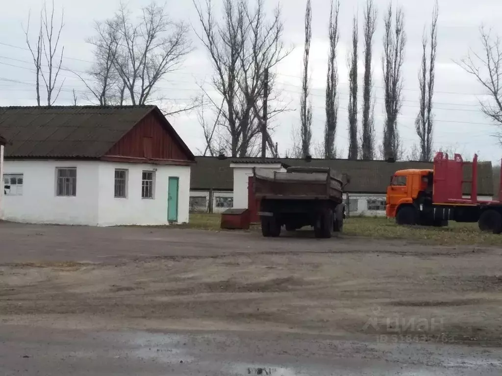 Помещение свободного назначения в Воронежская область, Бобровский ... - Фото 1