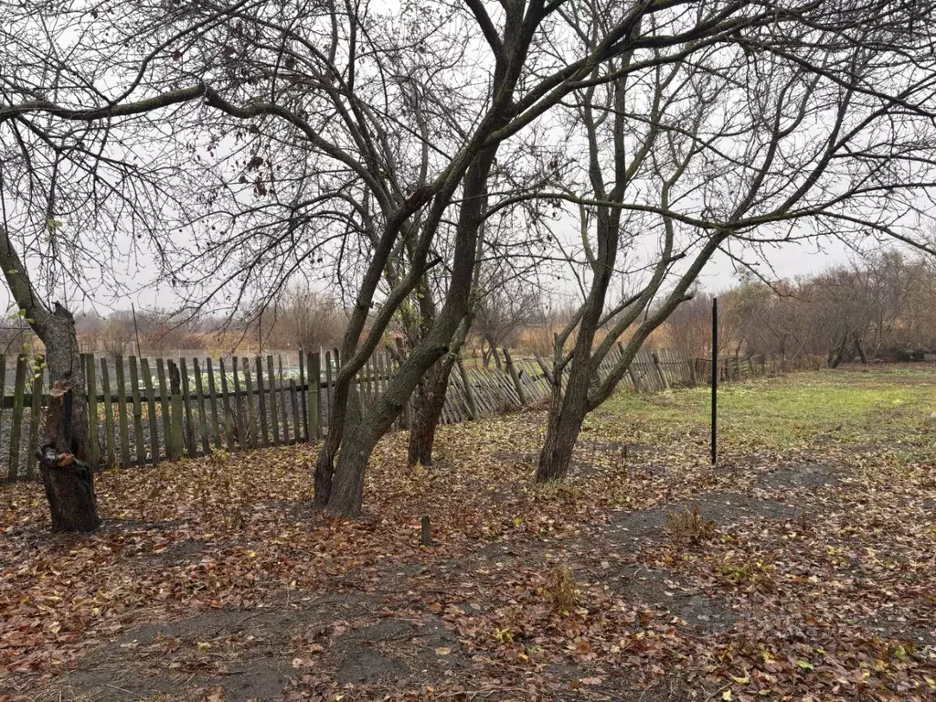 Дом в Белгородская область, Шебекино Речная ул. (74 м) - Фото 0