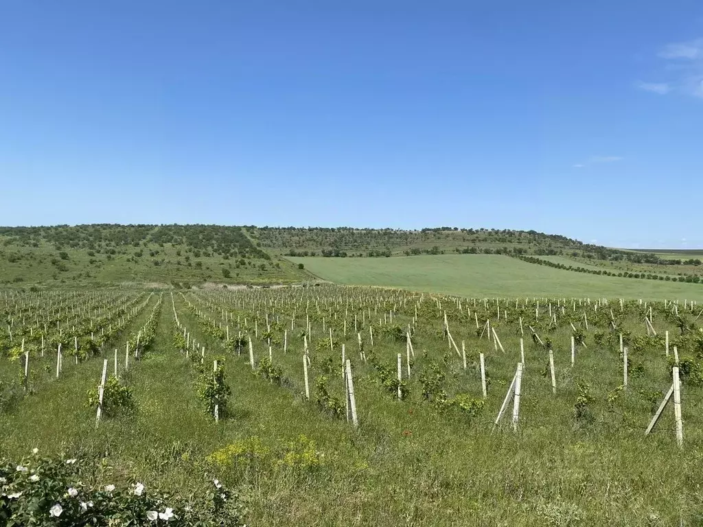 Участок в Крым, Бахчисарайский район, с. Угловое ул. Ленина, 91 (448.0 ... - Фото 1