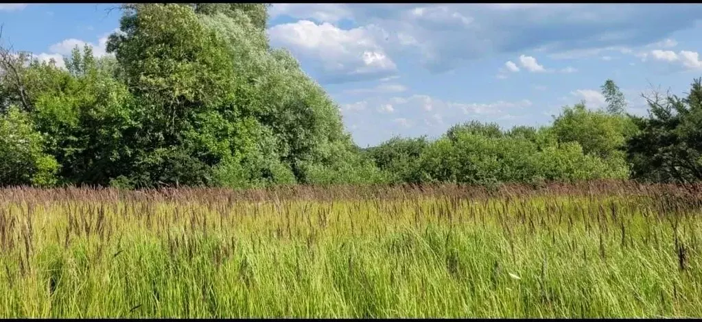 Участок в Калининградская область, Багратионовский муниципальный ... - Фото 2