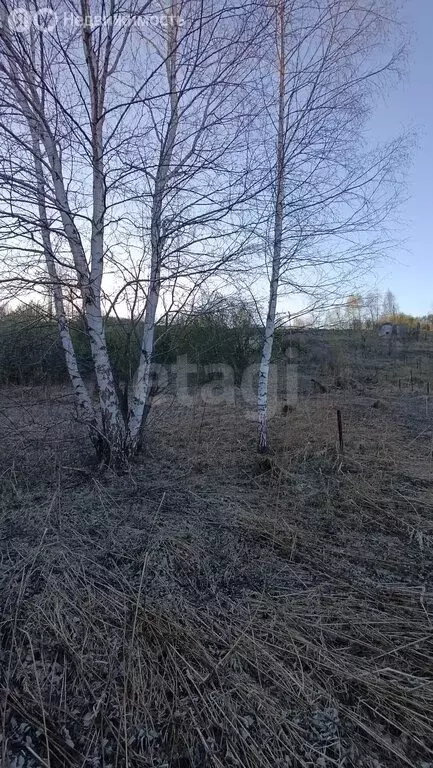 Участок в Майминский район, садоводческое товарищество Берёзка (8.36 ... - Фото 2