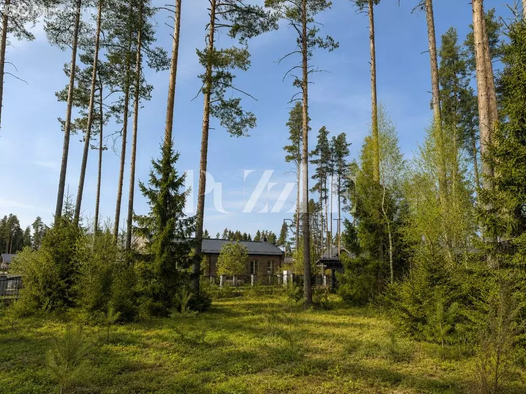 Участок в городской посёлок Рощино, Рассветная улица (16 м) - Фото 2