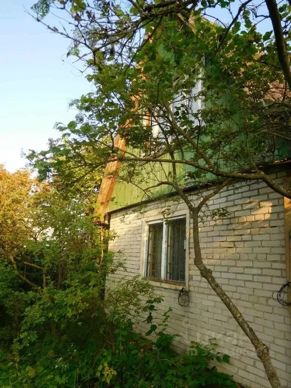 Дом в Владимирская область, Суздальский район, Боголюбовское ... - Фото 1