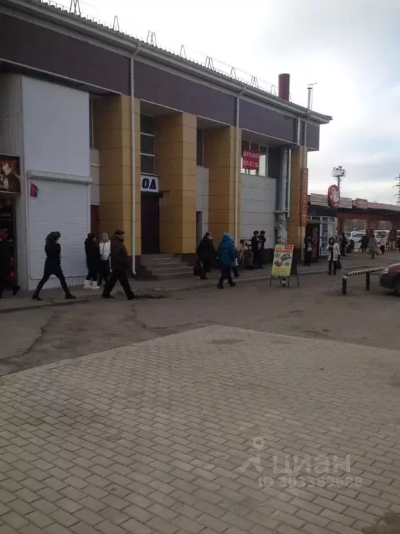 Торговая площадь в Смоленская область, Смоленск ул. Кашена, 13 (865 м) - Фото 1