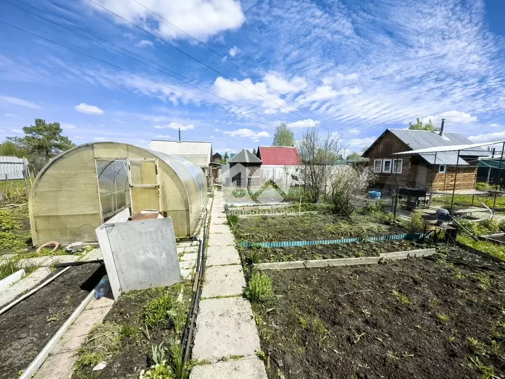 Участок 4,9 сот. (СНТ, ДНП) - Фото 1