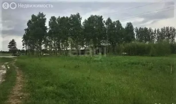 Участок в Ярославская область, Некрасовский муниципальный округ, ... - Фото 2