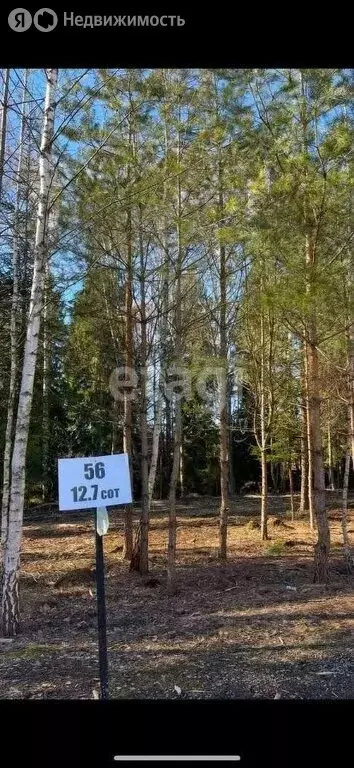 Участок в Московская область, городской округ Ступино, ДНП Отрада, 2-я ... - Фото 0