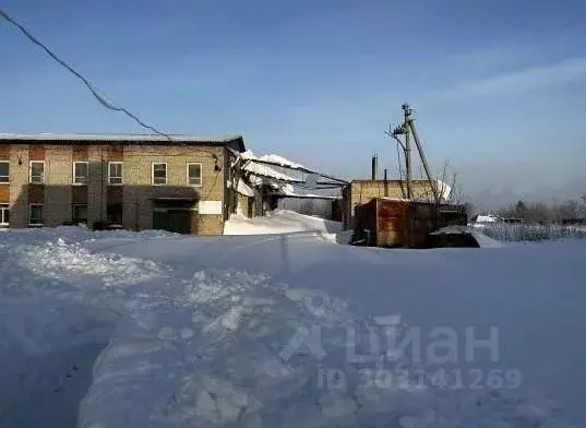 Производственное помещение в Новосибирская область, Мошковский район, ... - Фото 0