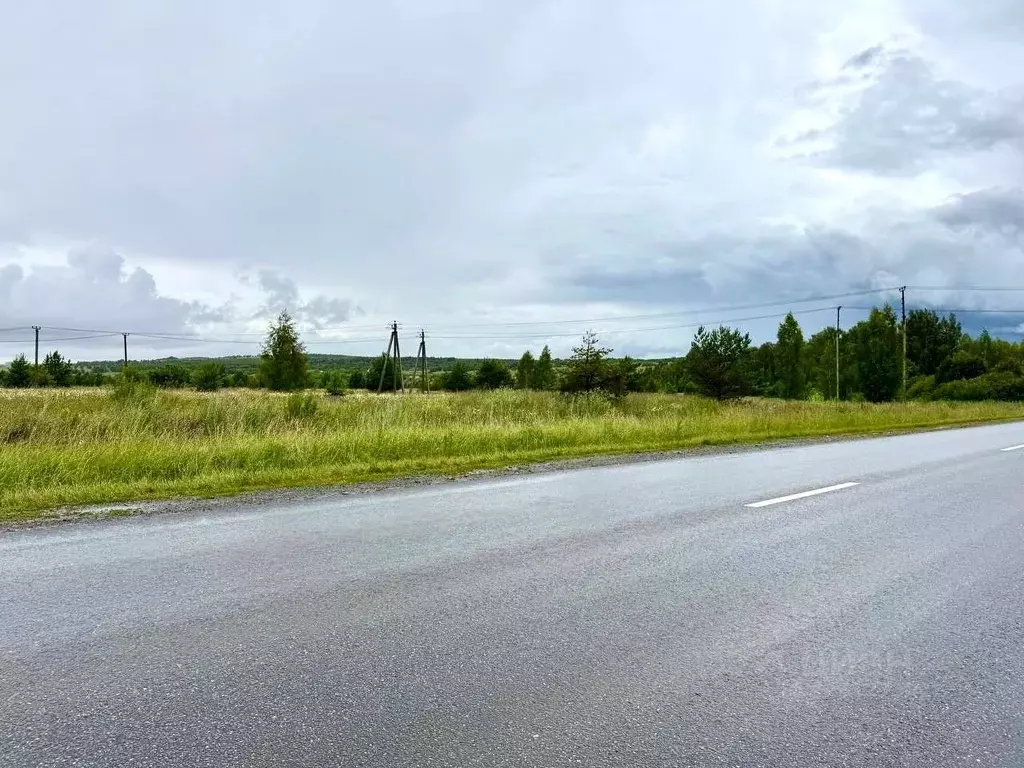 Участок в Татарстан, Пестречинский район, Богородское с/пос  (10.0 ... - Фото 2