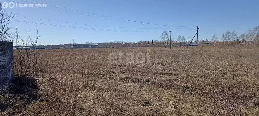 Участок в Новосибирская область, Искитим (125 м) - Фото 1