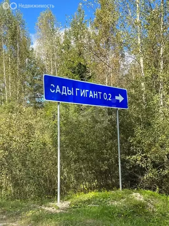 Дом в Медведевский район, Нурминское сельское поселение, СНТ Гигант, ... - Фото 1