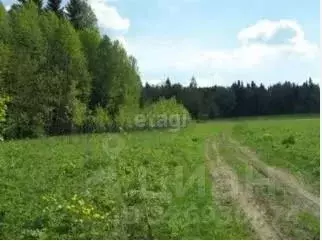 Участок в Пермский край, Пермский муниципальный округ, д. Чуваки  ... - Фото 1