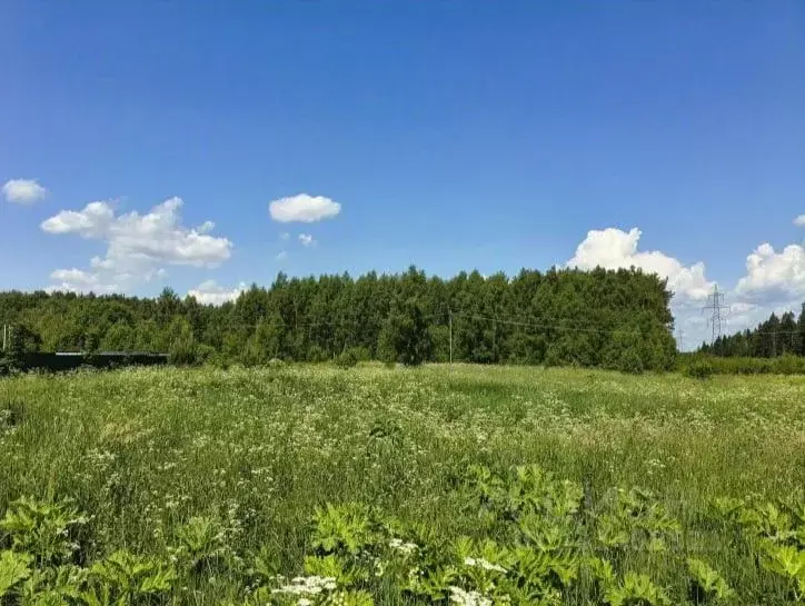 Участок в Московская область, Дмитровский муниципальный округ, пос. ... - Фото 1