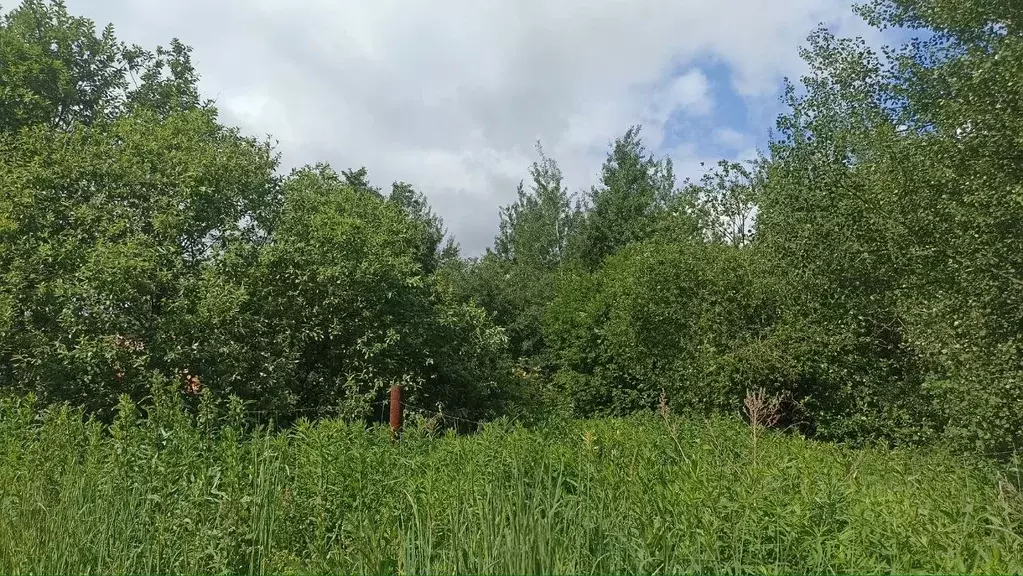 Участок в Нижегородская область, Нижний Новгород Культура с/пос,  ... - Фото 1