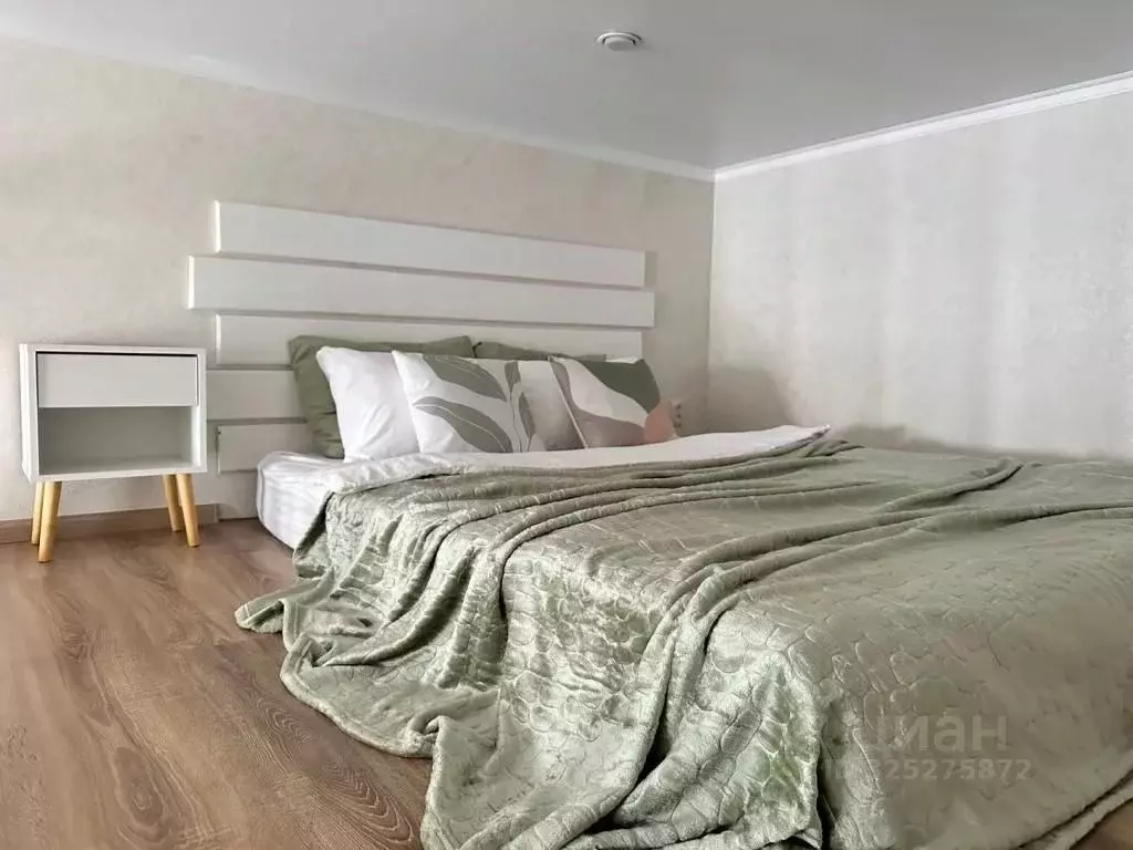 1-к кв. Самарская область, Самара ул. Фрунзе, 96 (22.0 м) - Фото 1