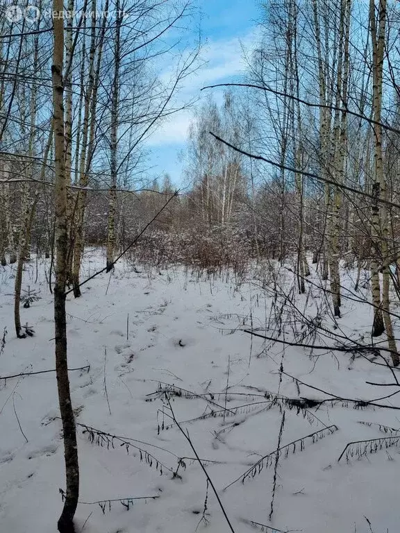 Участок в муниципальное образование Второвское, СДТ Соболиха (6 м) - Фото 0