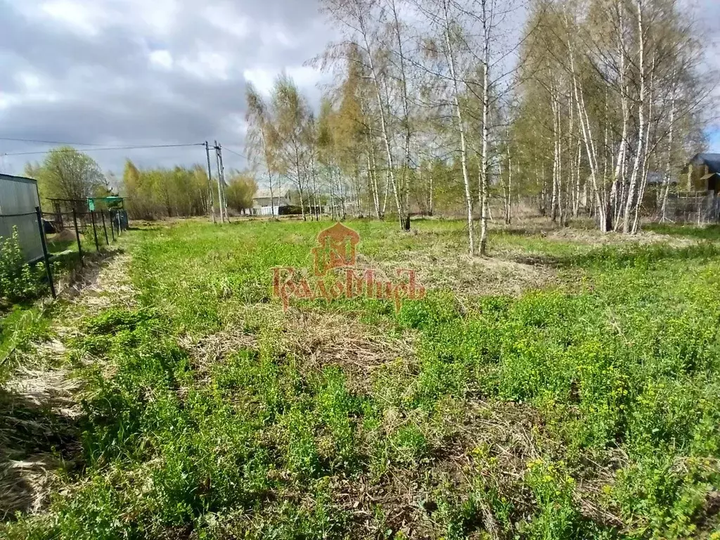 Участок в Владимирская область, Александровский район, Андреевское ... - Фото 0