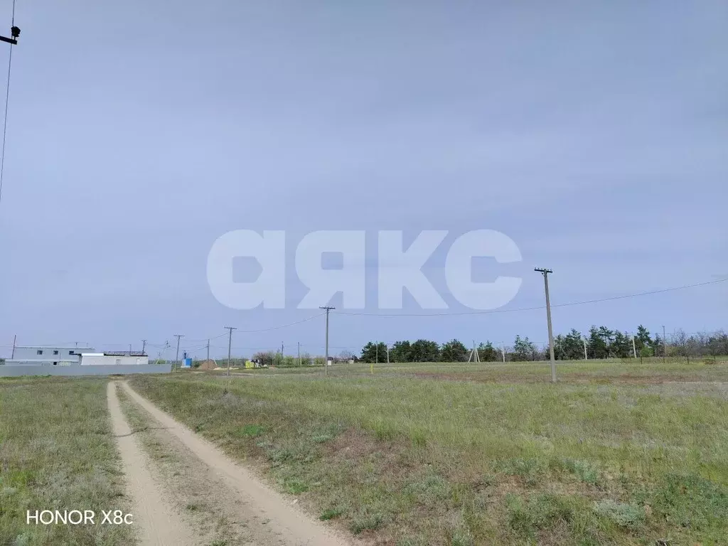 Участок в Волгоградская область, Городищенский район, Царицынское ... - Фото 2