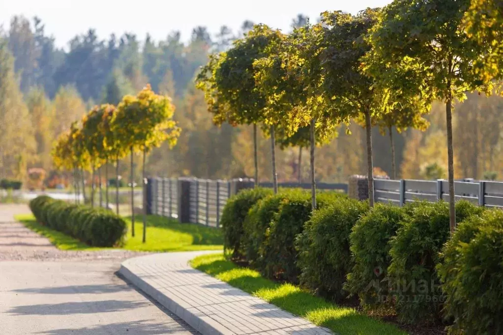 Участок в Ленинградская область, Выборгский район, Первомайское с/пос, ... - Фото 1