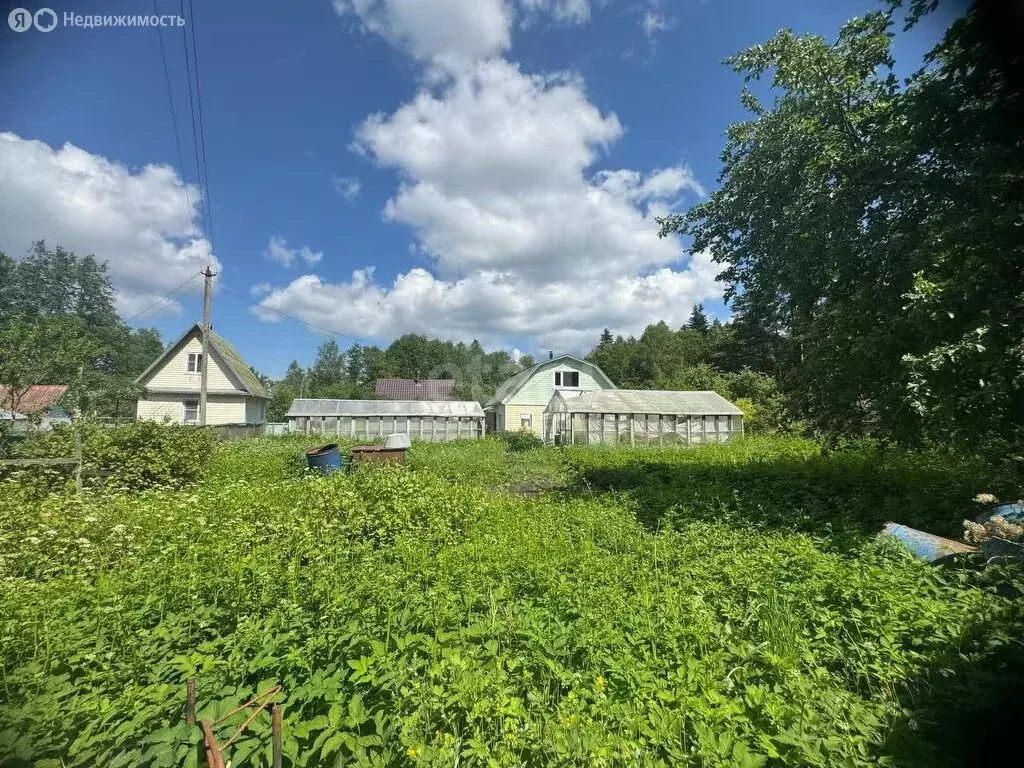 Дом в Псковский район, Ядровская волость, садоводческое некоммерческое ... - Фото 1