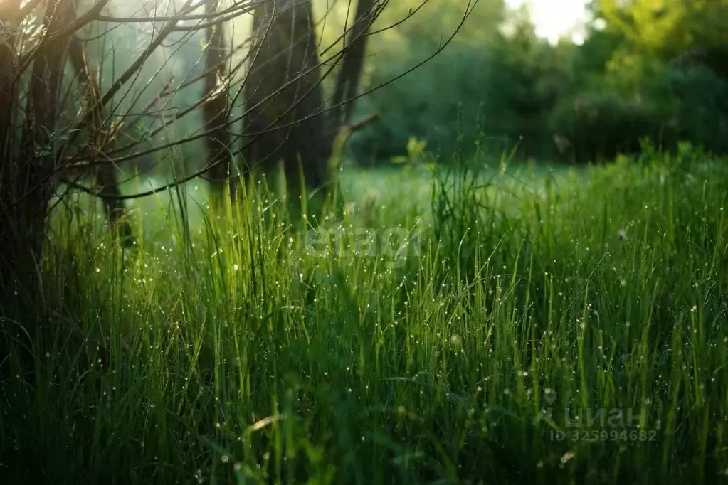 Участок в Псковская область, Локнянский муниципальный округ, д. ... - Фото 1