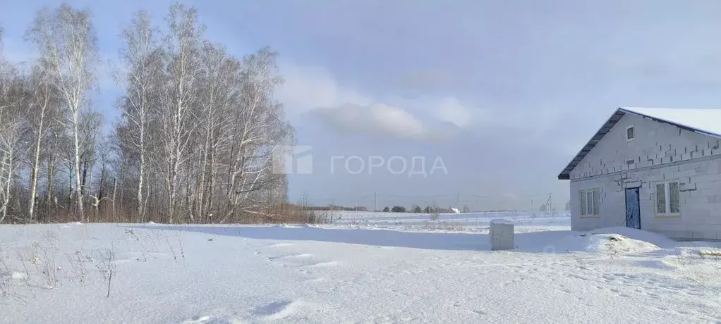 Участок в Алтайский край, Первомайский район, с. Фирсово Палитра жилой ... - Фото 1