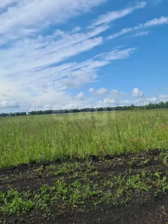 Участок в Мордовия, Лямбирский район, Пензятское с/пос, с. Пензятка  ... - Фото 2