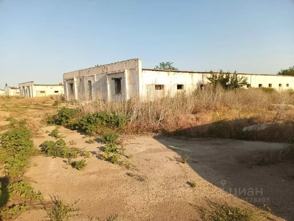 Помещение свободного назначения в Волгоградская область, Светлоярский ... - Фото 0