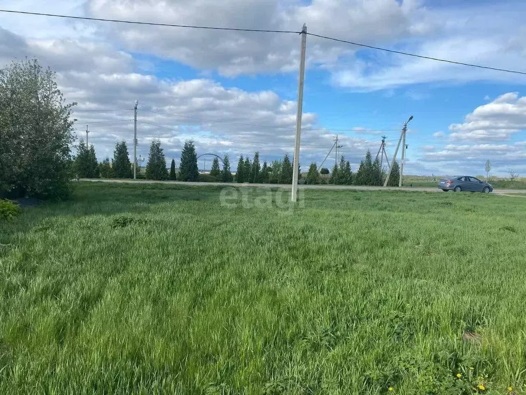 Участок в Белгородская область, Белгородский район, Дубовское с/пос, ... - Фото 1