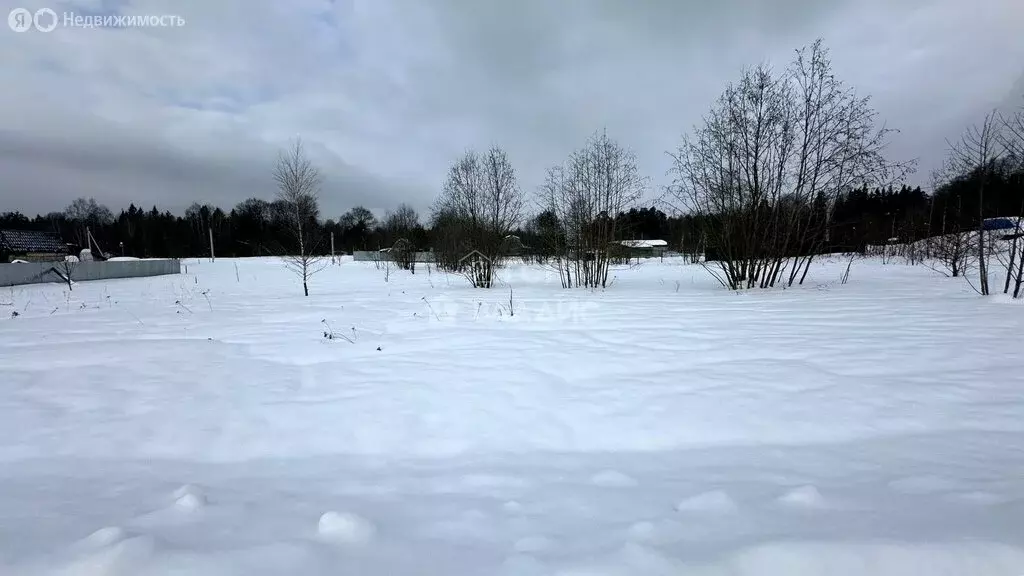 Участок в Московская область, городской округ Щёлково, деревня Вторая ... - Фото 1