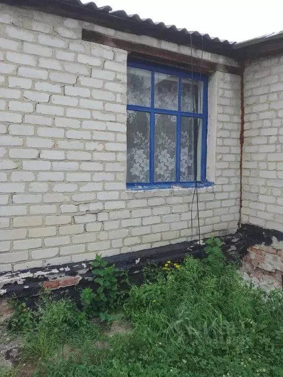 Помещение свободного назначения в Воронежская область, Павловск 1 Мая ... - Фото 2