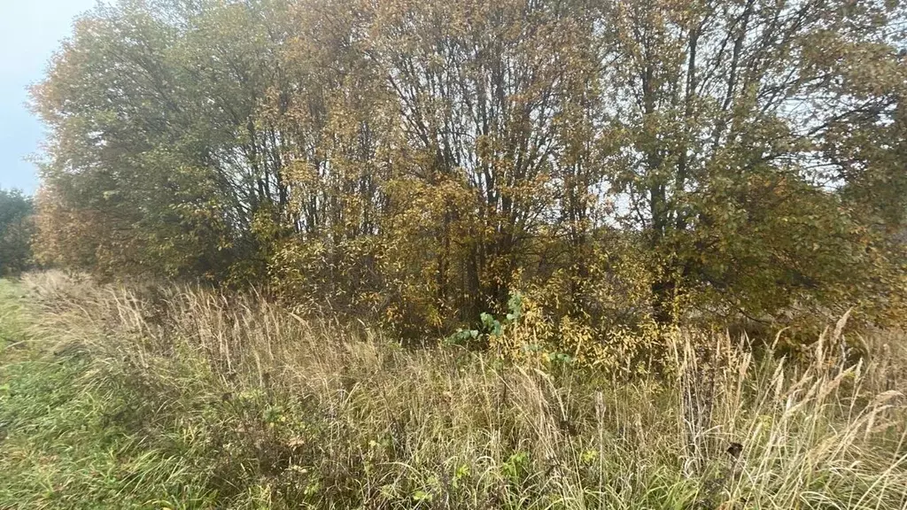 Участок в Московская область, Ступино городской округ, д. Шелково  ... - Фото 1