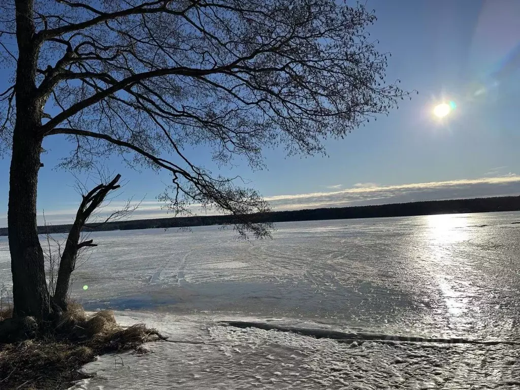 Участок в Ленинградская область, Выборгский район, Полянское с/пос, ... - Фото 1