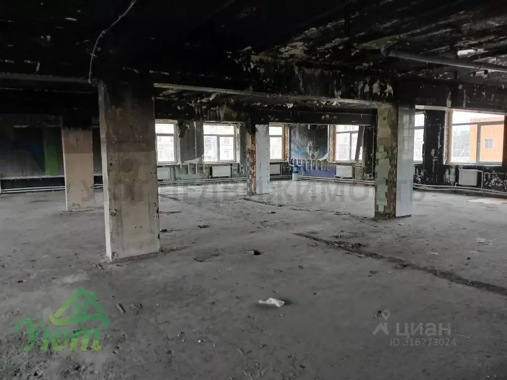 Помещение свободного назначения в Московская область, Раменское ... - Фото 1